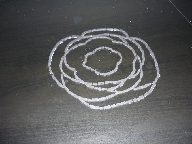 Rose outline